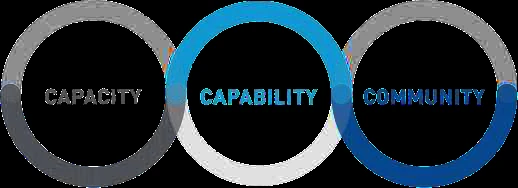 Capacity, capability and community